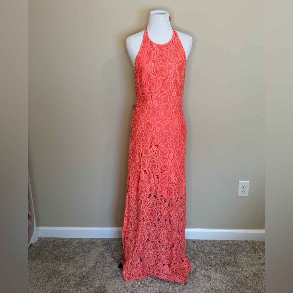 Hutch Coral Backless Lace Dress